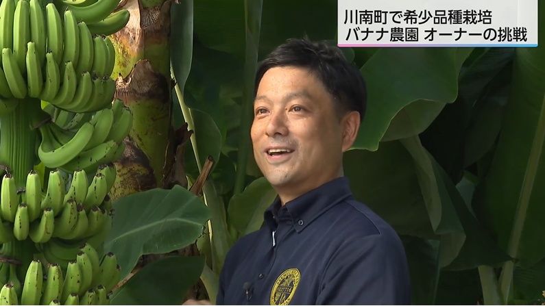 国内流通わずか0.1%の希少品種バナナを栽培 農園オーナーの情熱と挑戦