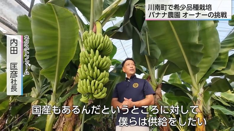 国内流通わずか0.1%の希少品種バナナを栽培 農園オーナーの情熱と挑戦
