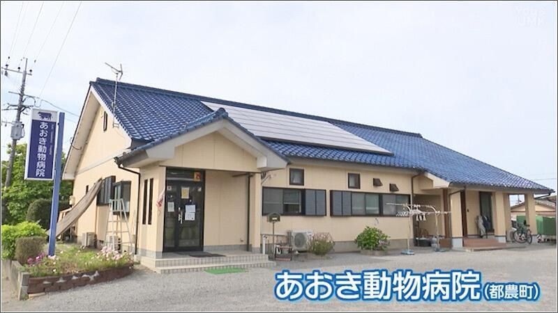 「絆・つながり・助け合い」を手が届く範囲で広げたい 獣医師が「口蹄疫」で失われた人と人とのつながりを取り戻すまで