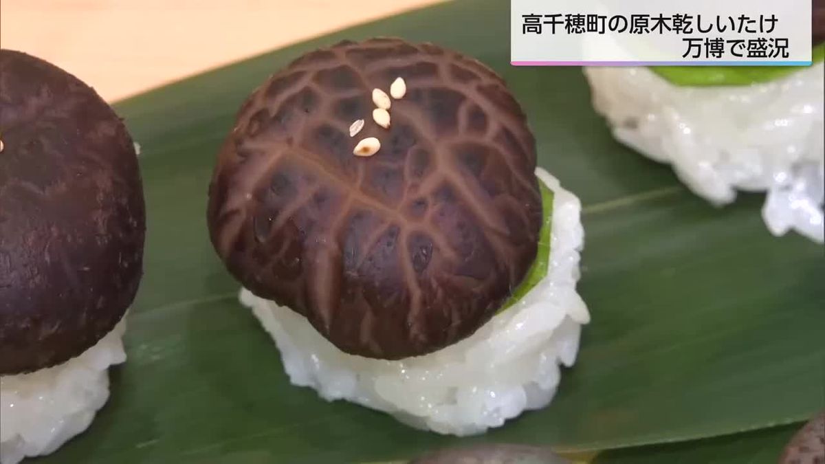 大阪・関西万博　宮崎県産・原木乾シイタケのPRに「大きな手ごたえ」