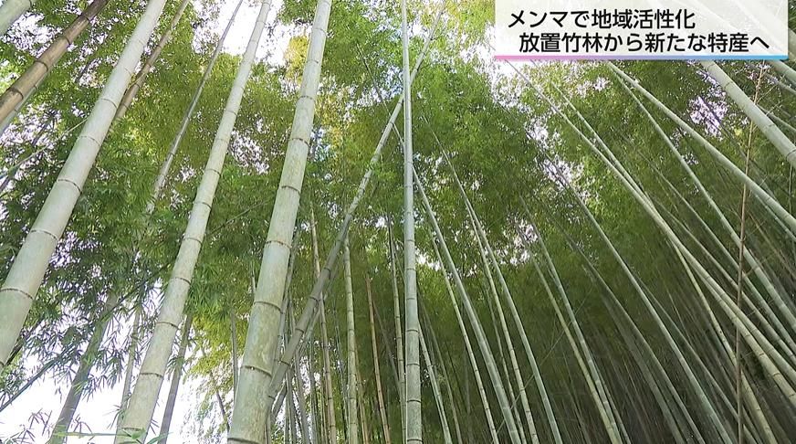放置竹林から新たな特産へ「綾メンマ」誕生 障害者も参加する地域活性