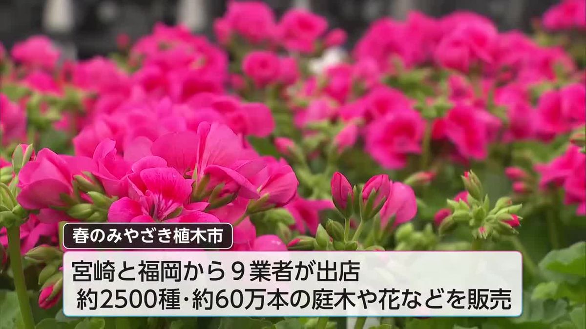 春の訪れ告げる　恒例！宮崎市で「春のみやざき植木市」開催