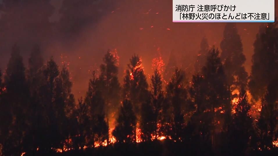 林野火災のほとんどは「人間の不注意によるもの」宮崎市鏡洲で起きた山火事の原因は…?1月から4月は空気が乾燥し強い風が吹くため十分な注意が必要