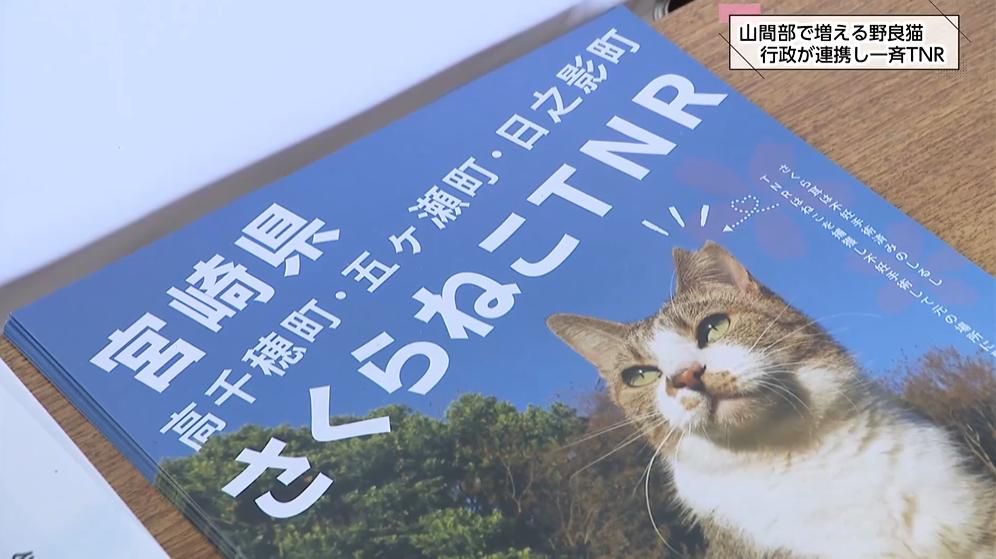 「移動型手術車」による山間部のTNR活動 どうぶつ基金と行政が連携 1匹の猫が出産、3年後は2000匹に!?
