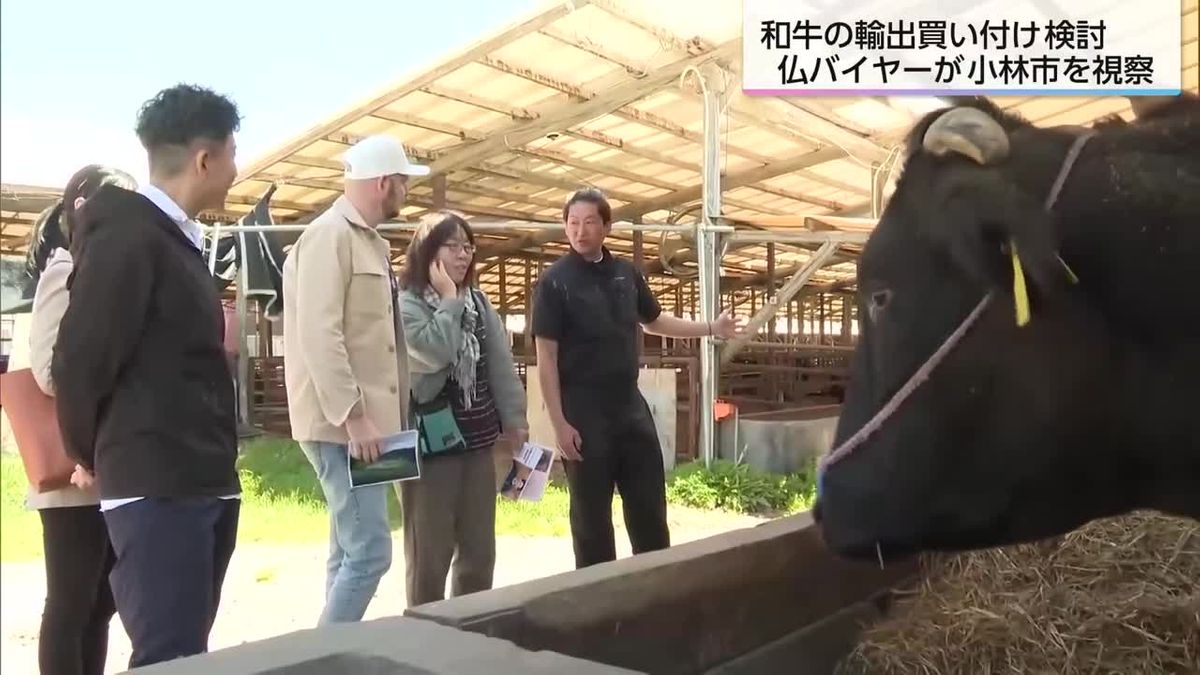 和牛を世界にPR　フランスのバイヤーが和牛農家を視察