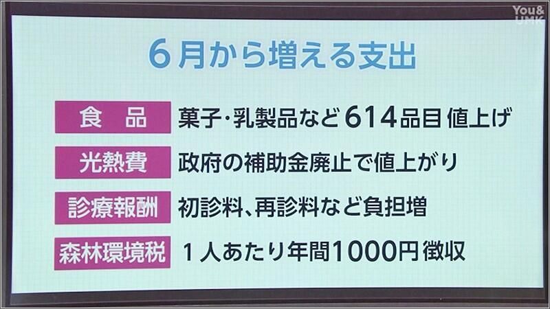 「値上げのタイミングだからこそ節約術を身に付け金銭感覚を一生の宝に」家庭でできる電気代節約術をファイナンシャルプランナーに聞いた