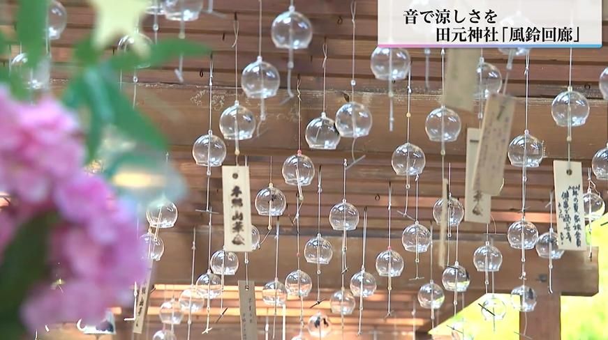 夏にキキからの音色のプレゼントいかがですか？暑い夏に風流です 51FHtiS2tWL._UF350,350_QL50_.jpg