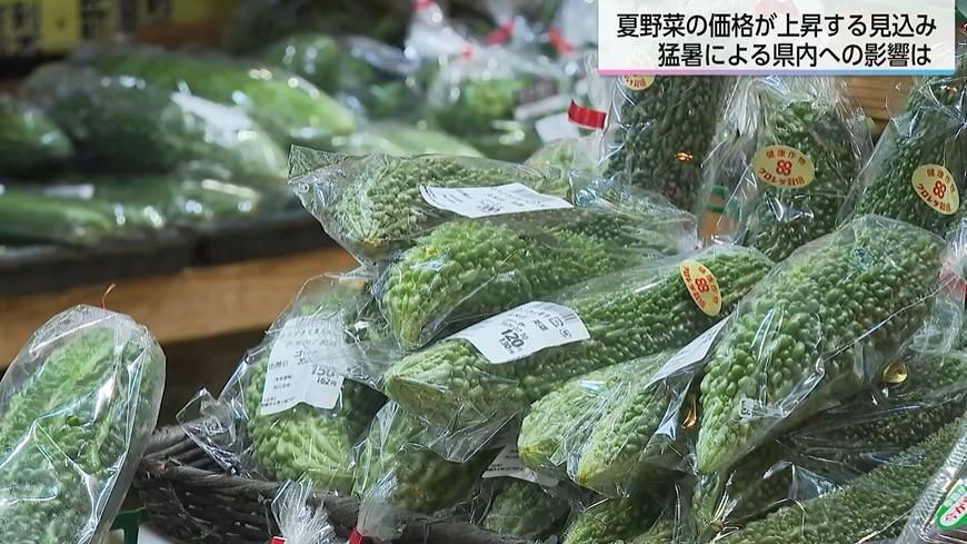 野菜 夏野菜」値上がりの見込み “高温障害”で傷むのも早い… 食卓への影響は