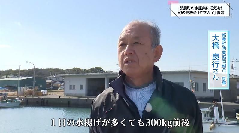 2ページ目 世界初成功！絶滅危惧種「タマカイ」完全閉鎖循環式陸上養殖