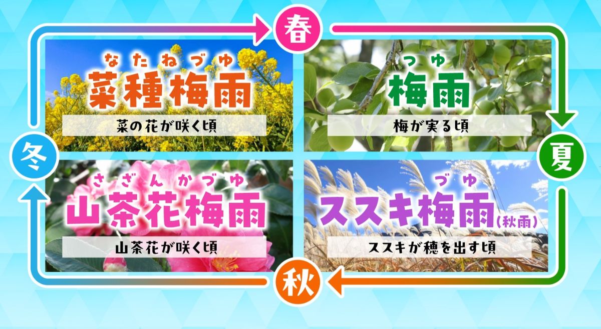 梅雨 の 時期