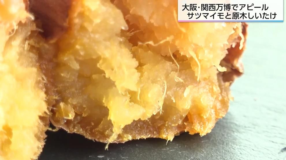 宮崎の自信作「焼き芋」が関西万博に登場!くしまアオイファームが描く世界戦略、宮崎サツマイモの可能性を探る