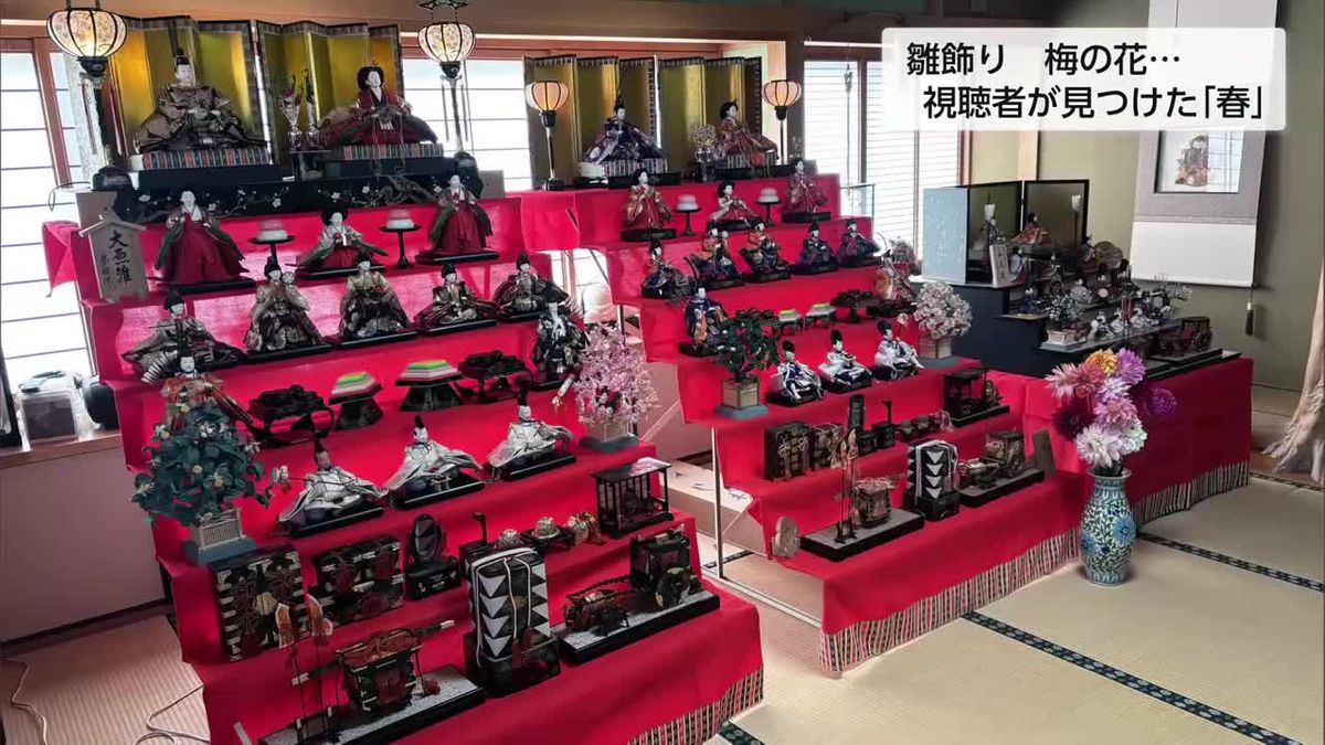 梅の開花に雛飾り…　宮崎県内から春の便り　視聴者が見つけた「春」