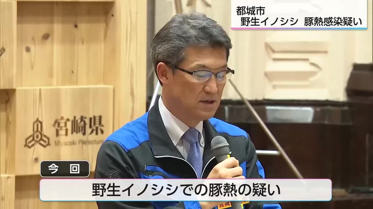 「特段の強い緊張感を持ってあたる」都城市の野生イノシシ「豚熱感染疑い」受け緊急の対策本部会議