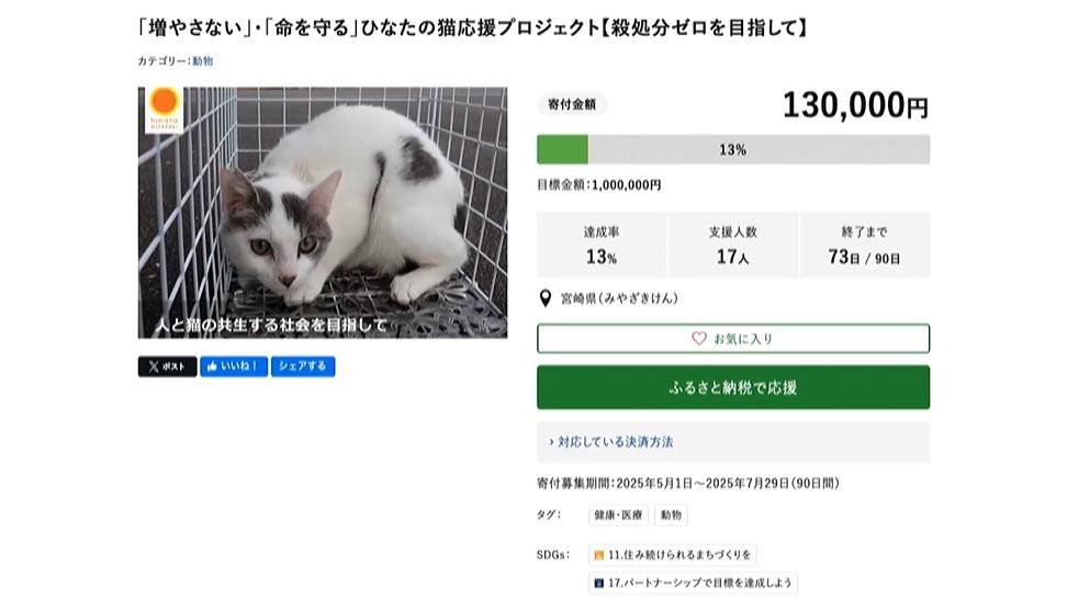 ふるさと納税で猫の命を守る「ひなたの猫応援プロジェクト」 殺処分ゼロ目指しクラウドファンディング