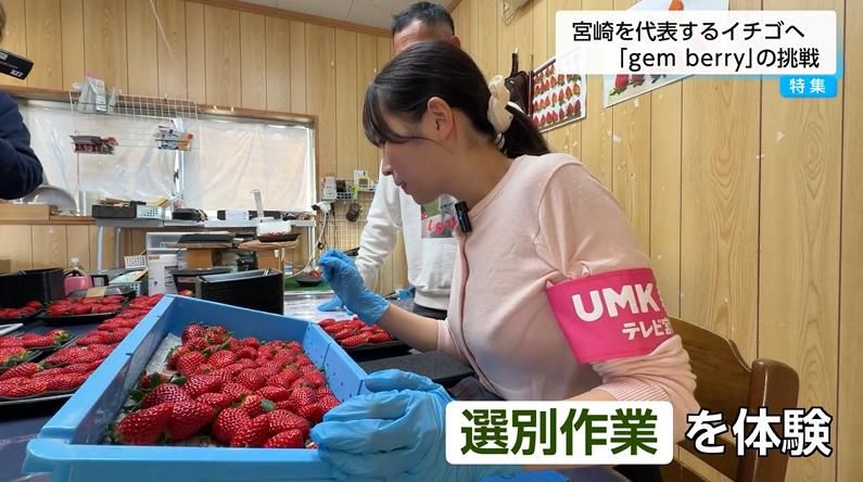2ページ目 「根元まで赤いイチゴは商品価値がない」は過去の話？ 宮崎