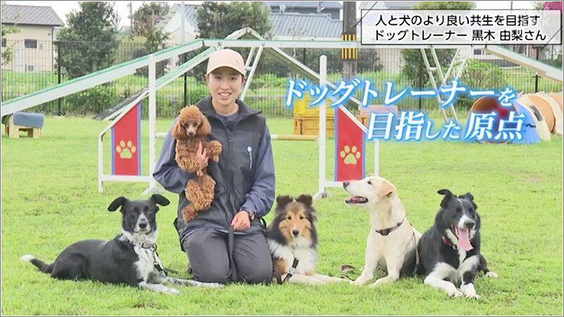 日本はトレーニングやしつけの重要性が海外より低い」人と犬のより良い共生を目指す ドッグトレーナー黒木由梨さん（2024年5月14日掲載）｜UMK  NEWS NNN