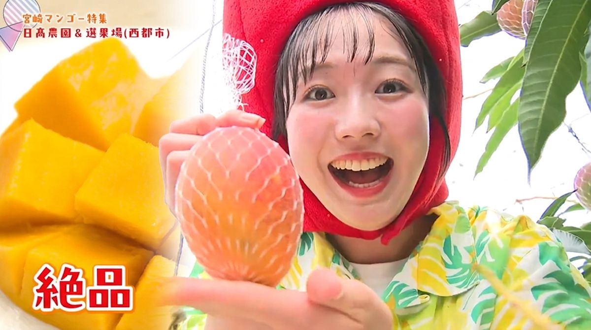 わずか15%の狭き門！最高級「太陽のタマゴ」笑顔になれる宮崎マンゴー
