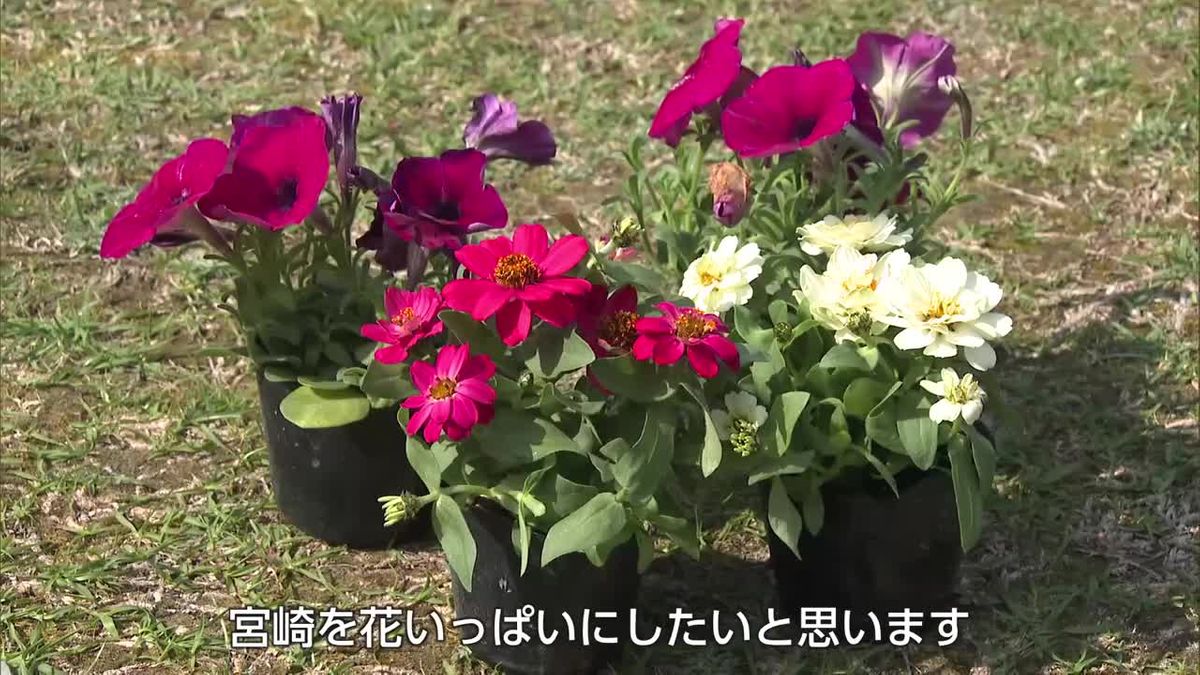 みどりの日　草花への愛着を　宮崎市で花の苗を無料配布