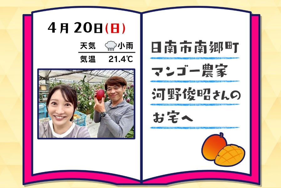 徹底した温度管理と太陽の恵みを浴びる工夫で甘さと美味しさを育てる 南国宮崎を象徴するフルーツ「マンゴー」農家を訪問【古山圭子のココ行こやん!】