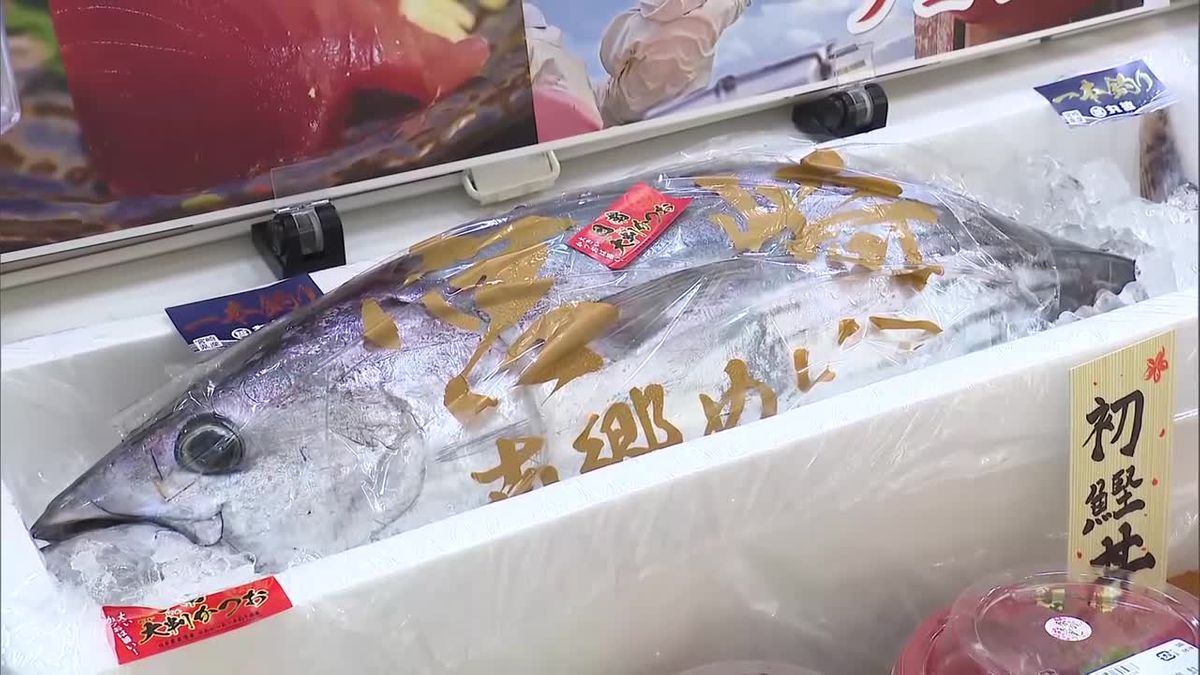 今が旬　日南初かつおフェア