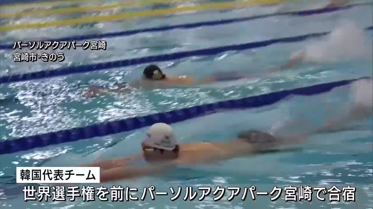 宮崎市で合宿中の競泳・韓国代表チーム　練習を公開
