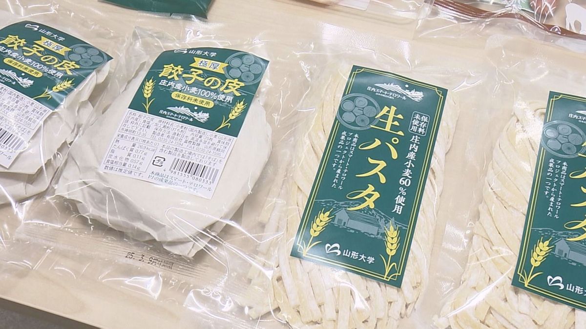 山形大生が庄内産の小麦を使い「生パスタ」と「餃子の皮」を商品開発　2店舗で販売へ