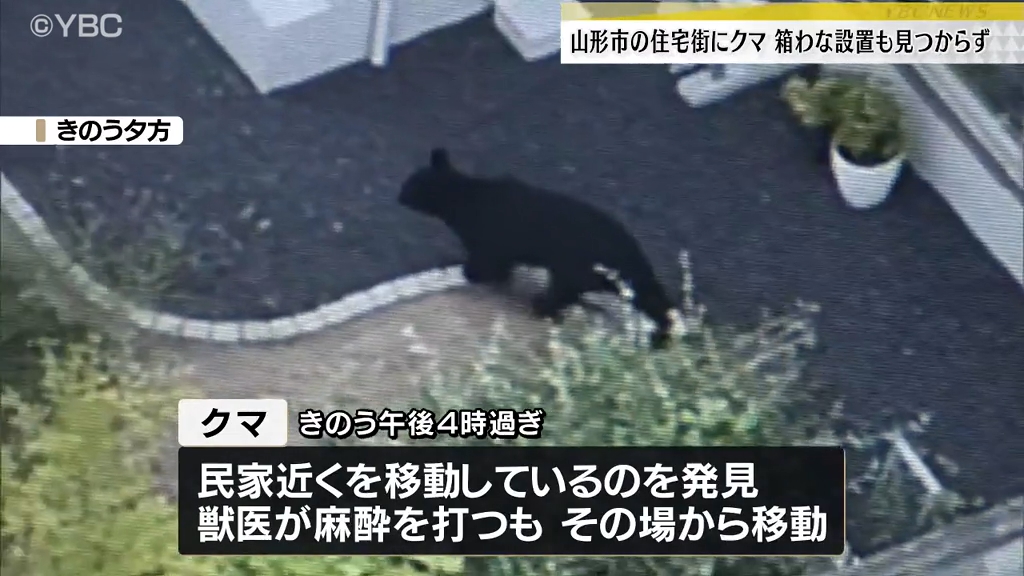 住宅地に相次ぎクマ出没、一夜明け捜索再開も発見されず（山形市