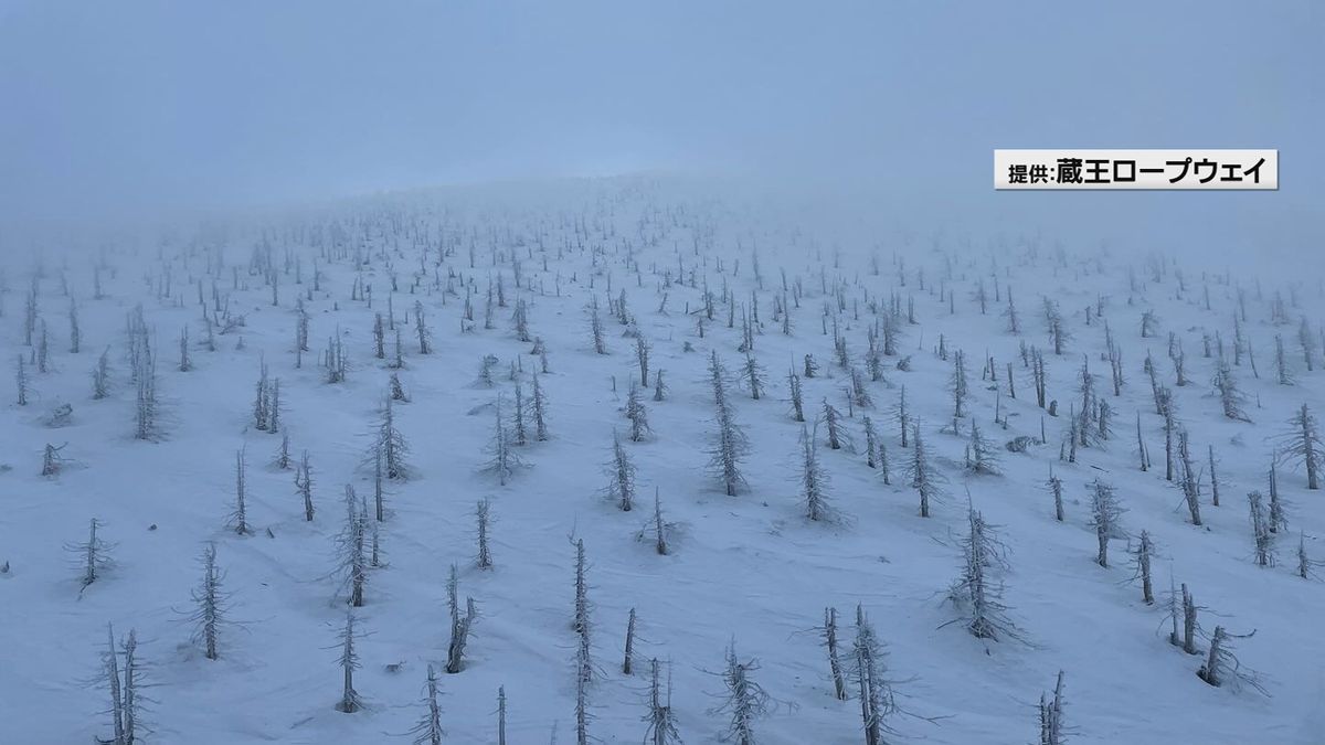 【暖冬】高温や強風の影響で蔵王の樹氷が全域で消滅　「胸張り裂けそう」海外からも復活願う声