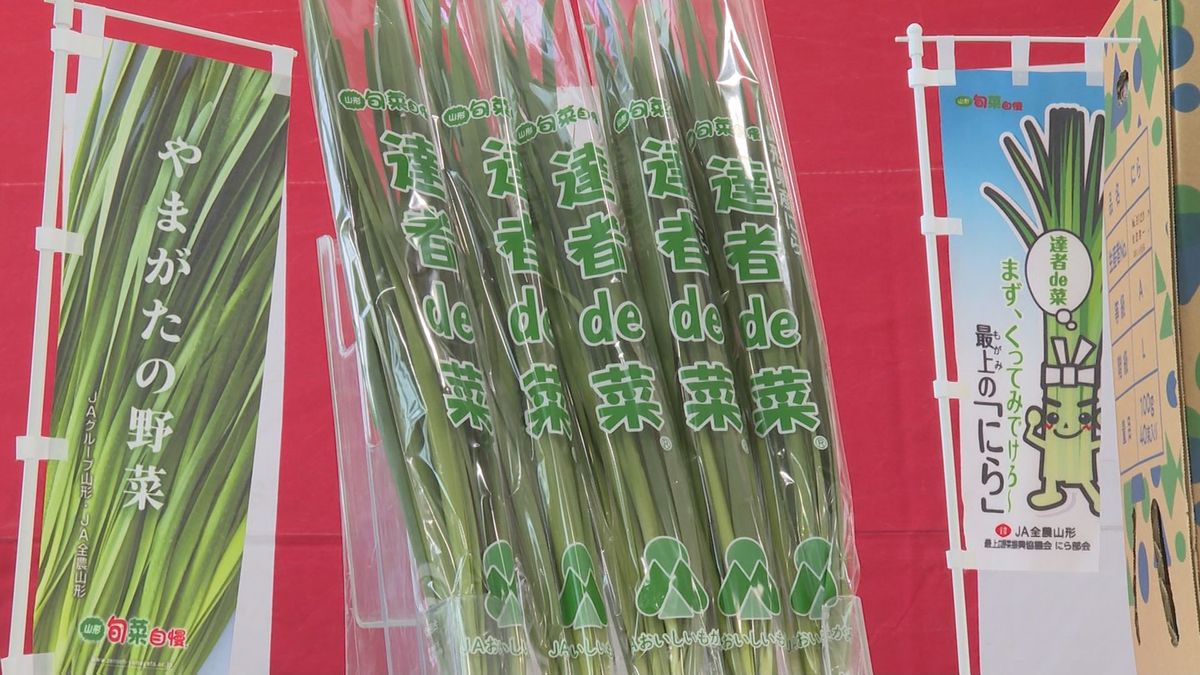 ニラの主力ブランド「達者de菜」が全国に　真室川町で出荷式　販売額10億円目指す