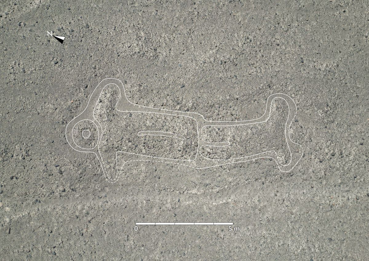 ナスカの地上絵新たに248点発見 「野生の鳥」「家畜」「神官」…物語や