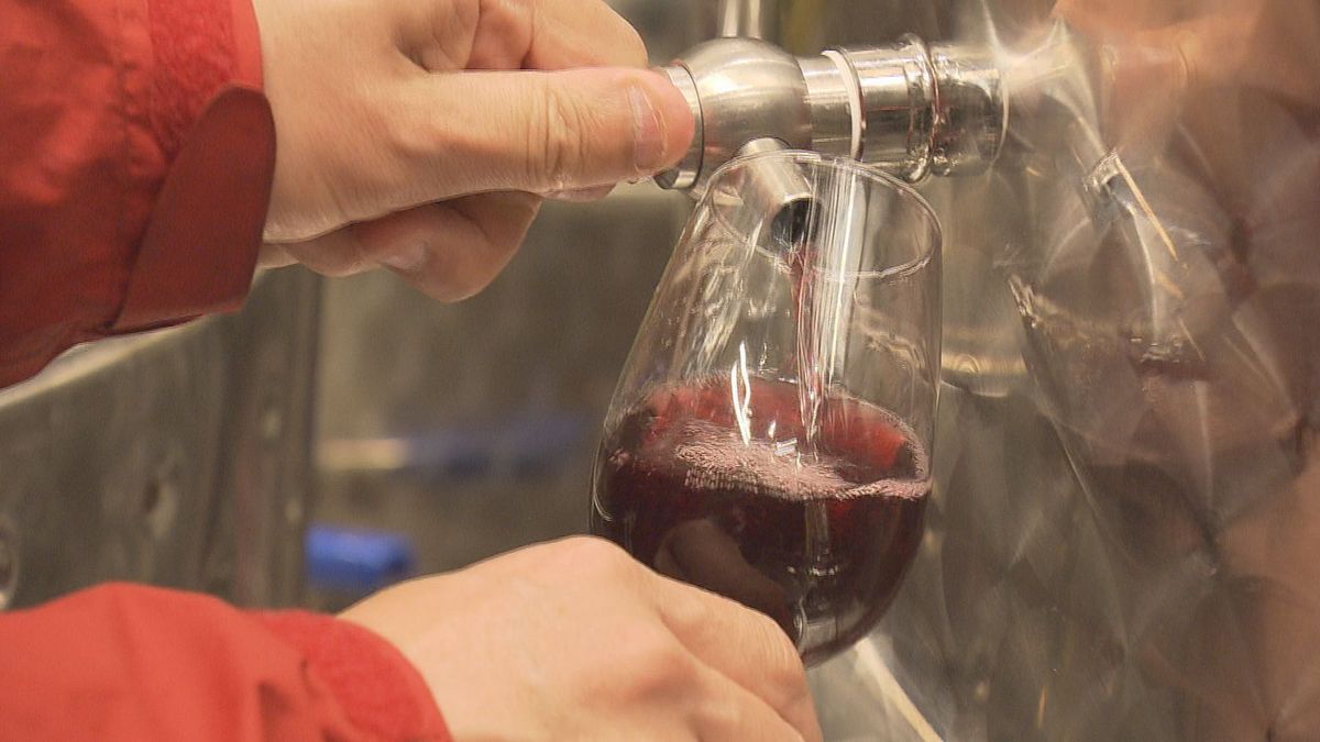 「ビッグビンテージになる」　鶴岡市でワインの仕込み作業最盛期　ブドウが順調に生育