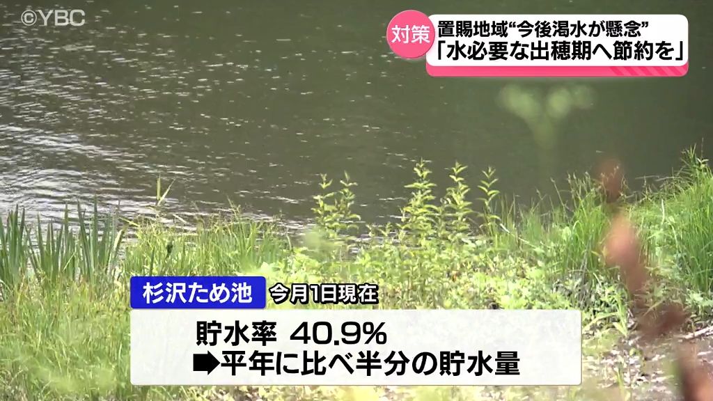 山形県置賜地域「今後の渇水が懸念」 7月下旬の稲の出穂期に向け農業用水の節約を呼びかけ