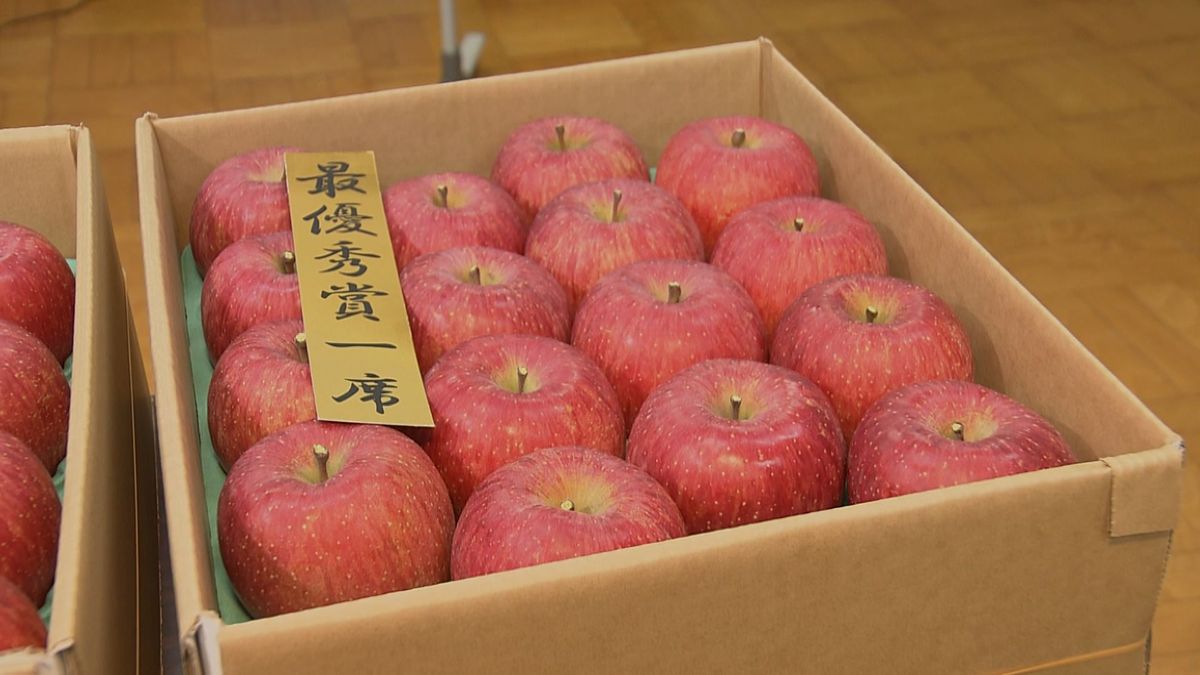 今年の味や食感は上々　東根市でリンゴ「ふじ」の出来栄え競うコンテスト