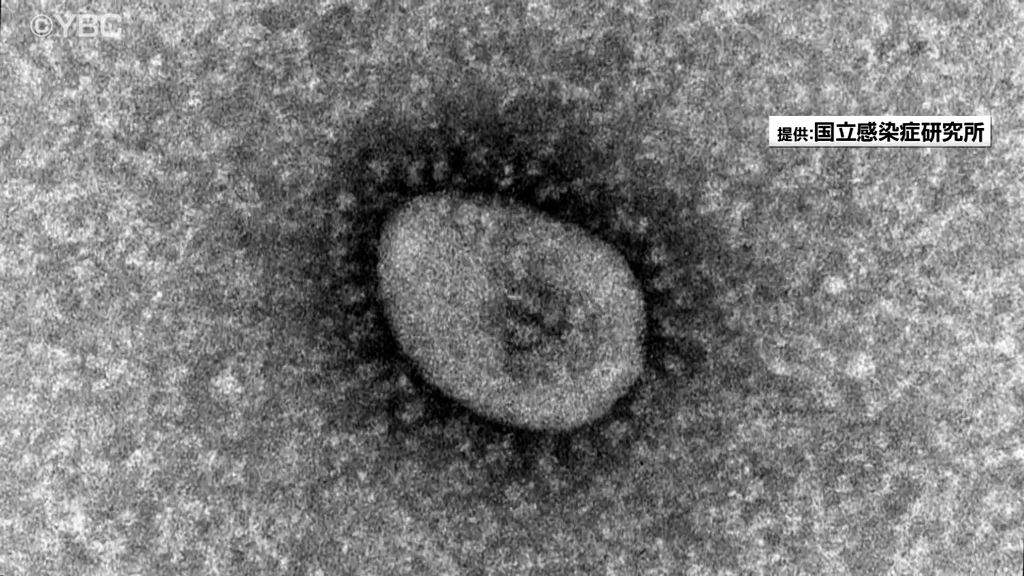 新型コロナ山形県内全域で増加　２０代以下が全体の６割以上　