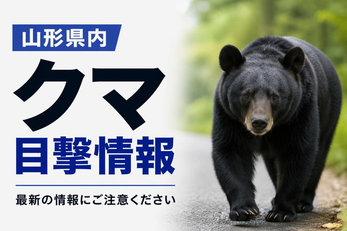 【鶴岡・西川】18日新たに住宅近くでクマ計2頭目撃