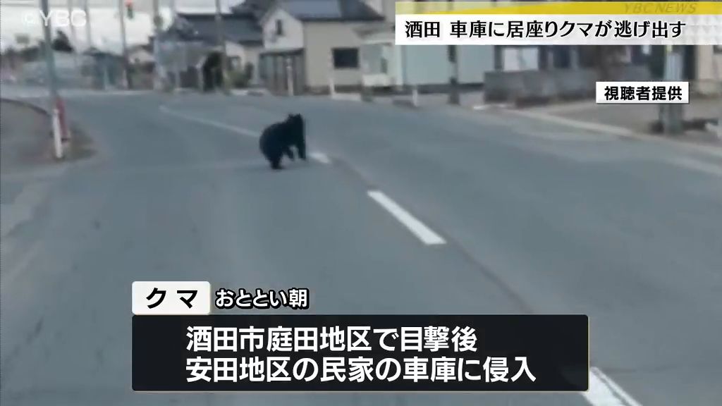 民家の車庫に侵入したクマ　侵入から35時間余り居座った後逃げ出す　警戒続く　山形・酒田市