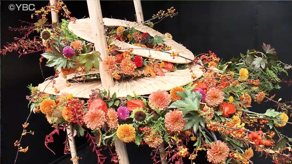 「アート性が強くてすごい！」日本最古の菊まつり　山形・南陽市で開催中
