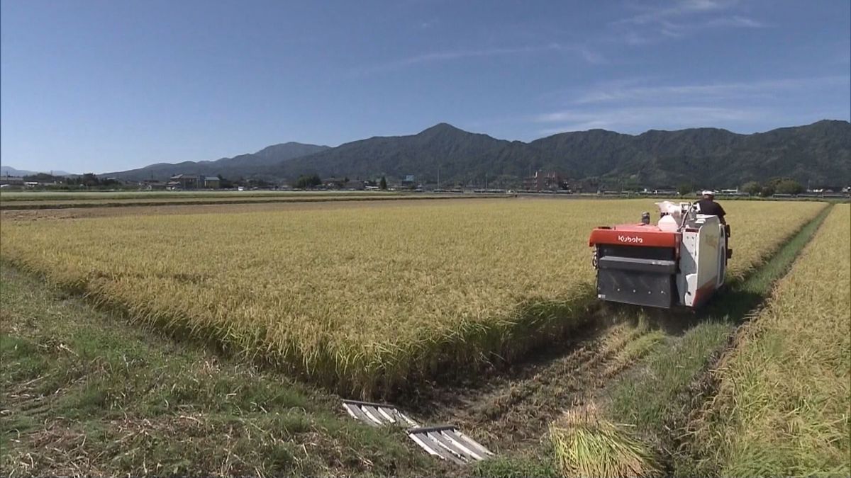 山形県産米の予想収穫量10アール当たり589キロ　去年より微減　猛暑の影響少なく