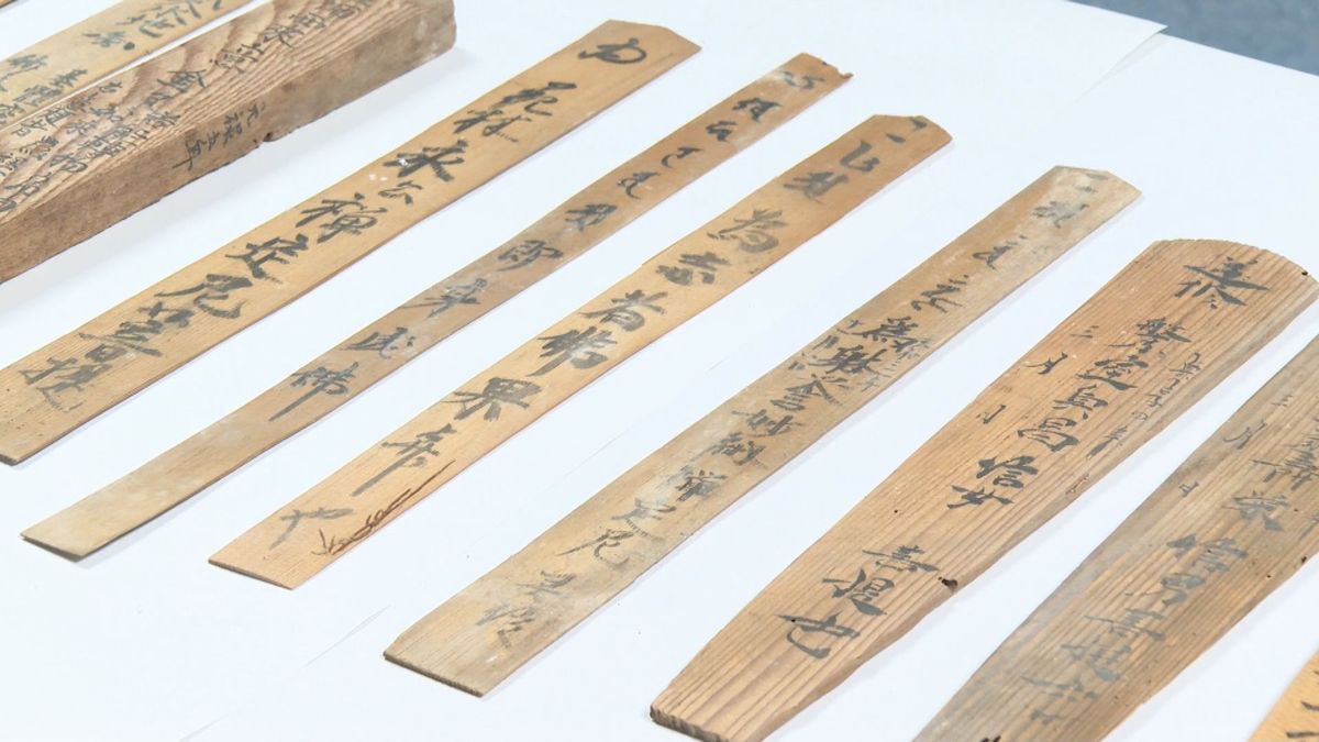山形市の山寺の岩窟にサルが侵入し発見された大量の木札　江戸時代に作成された10万点　国内最多（2025年10月2日掲載）｜YBC NEWS NNN