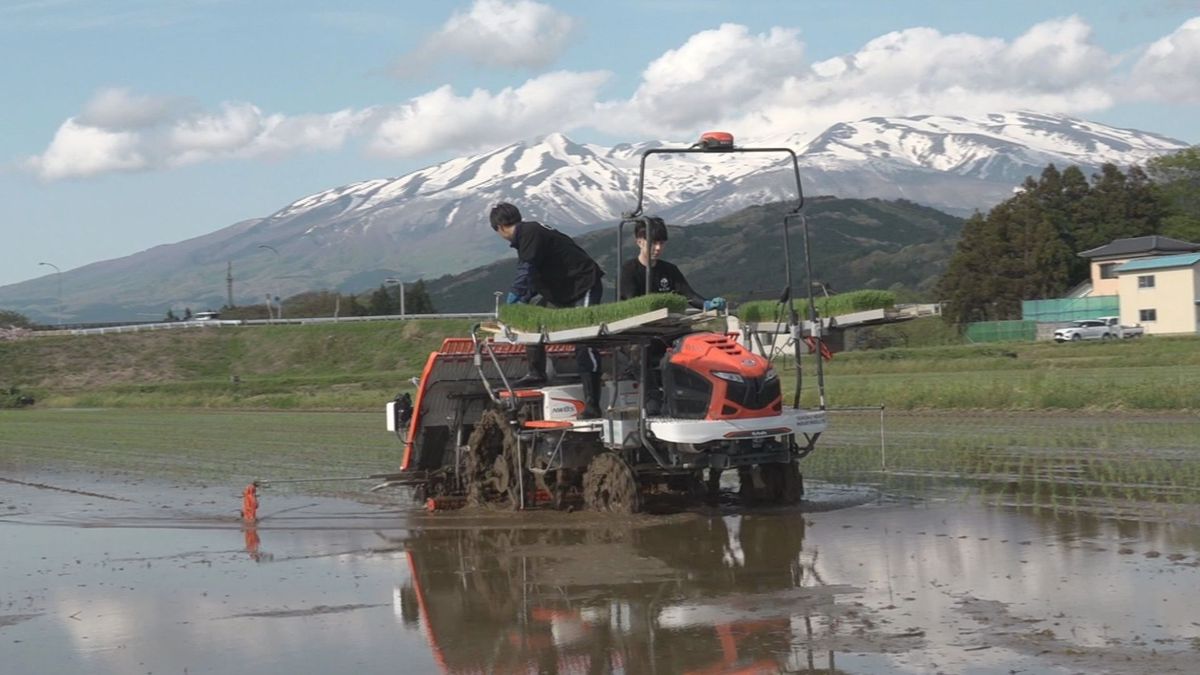 「期待に応えたい」米どころの山形県庄内地方で田植えシーズンがスタート