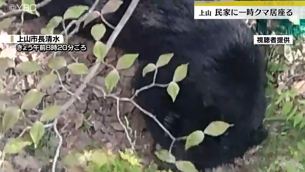 住宅のフェンス壊される被害も 民家の庭にクマ約3時間居座る 捕獲後山