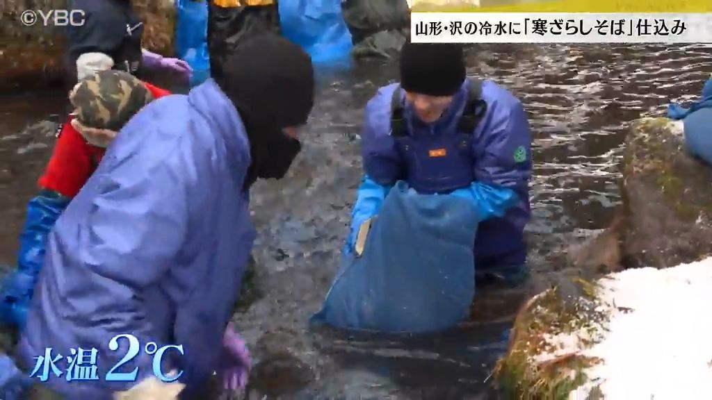 ソバの実を冷たい沢水へ　”山めん寒ざらしそば”の仕込み作業　山形市内で4月から提供へ