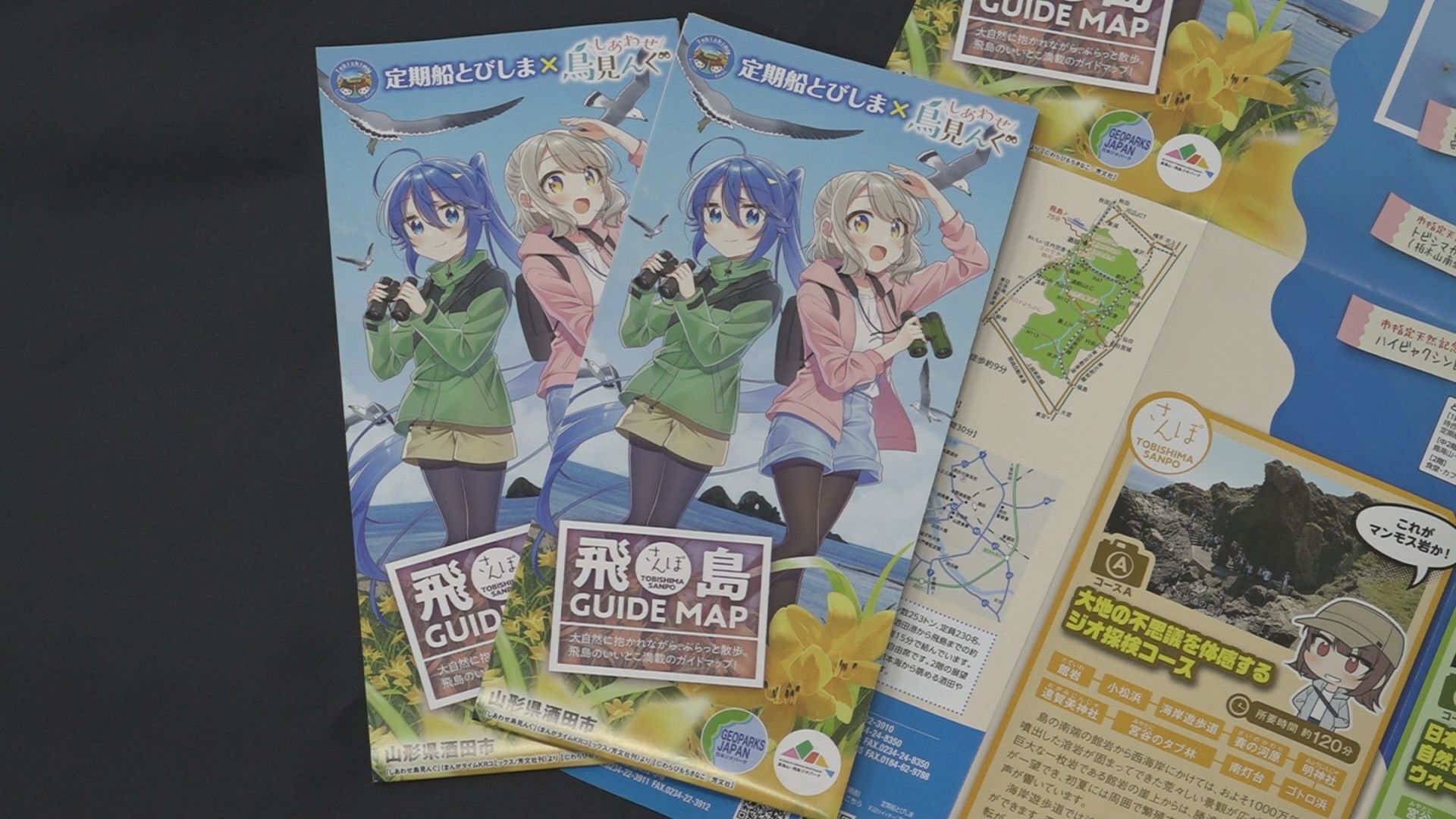 バードウォッチング漫画とコラボ第2弾の「飛島さんぽガイドマップ