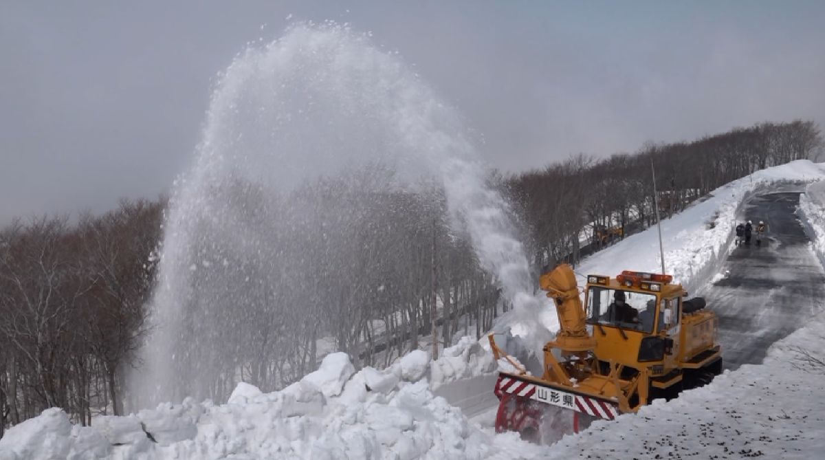 積雪は去年の2倍近く　道路脇は3メートルの雪の壁　鳥海ブルーライン除雪作業急ピッチ　25日開通予定