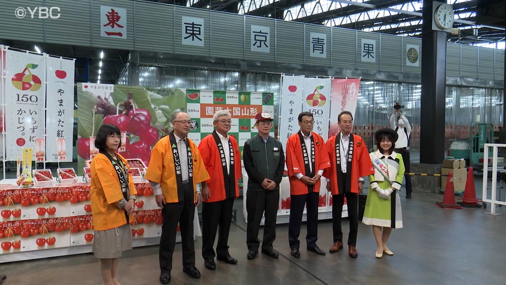 本格出荷目前 山形県産サクランボを東京・大田市場でトップセールス