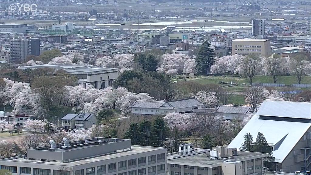 山形、新庄、米沢で２５度の夏日予想・１４日