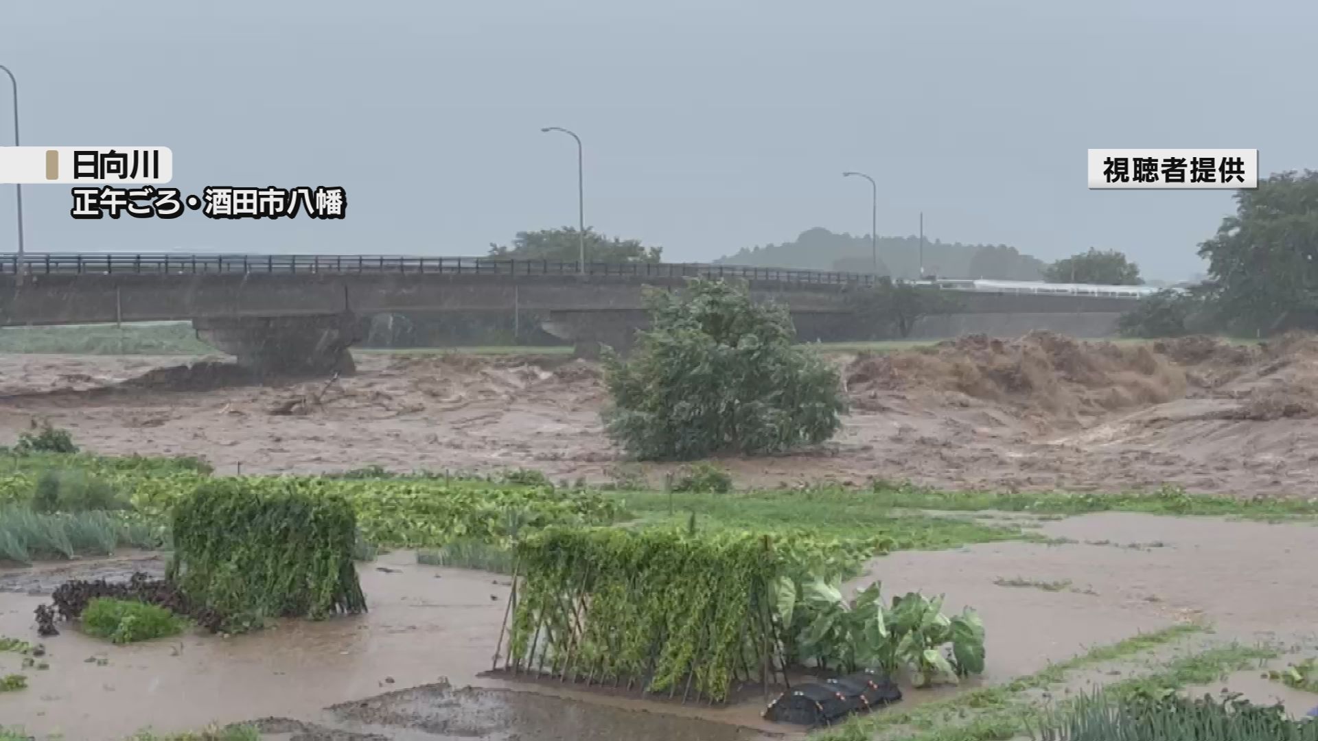 山形・大雨特別警報】遊佐町全域・酒田市八幡地域に緊急安全確保 日向川など10河川で氾濫危険水位超える（2024年7月24日掲載）｜YBC NEWS  NNN