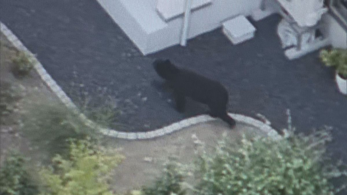 当時のメディア報道・掲載写真