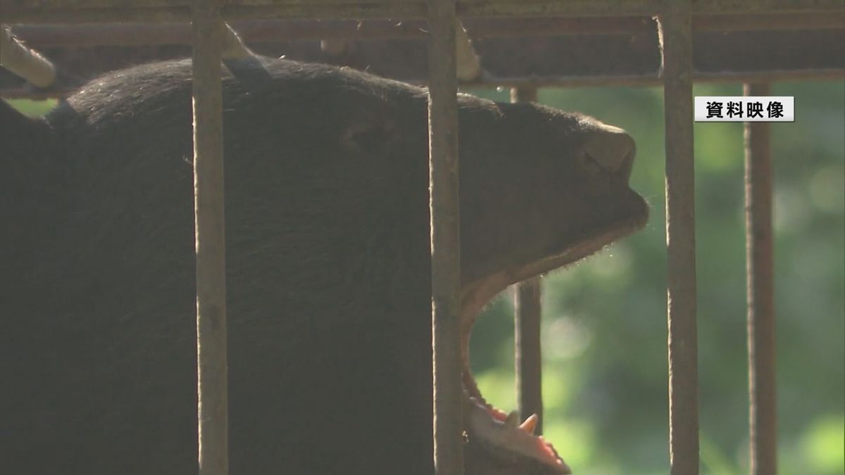 山形県内クマの目撃件数660件　過去20年で2番目に高く　12月中旬まで警戒を県が呼びかけ