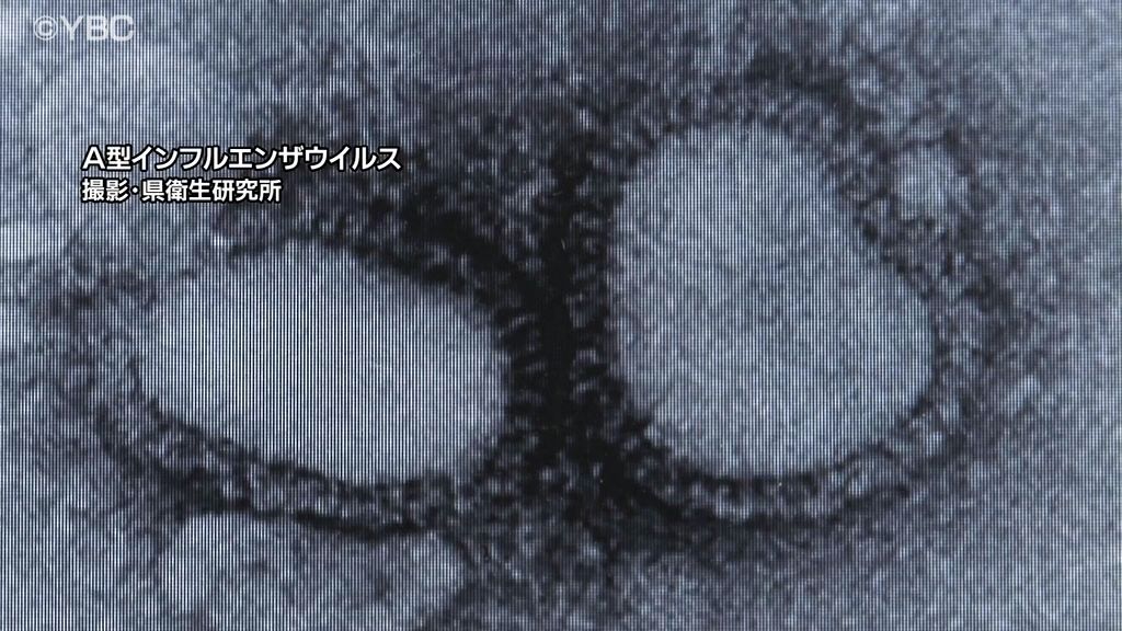 山形県内インフルエンザ４週連続増加…患者は8割以上が20歳未満